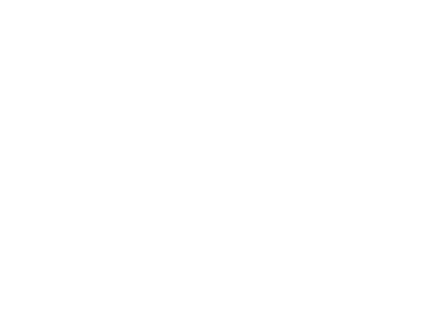 Bridle Racing Logo